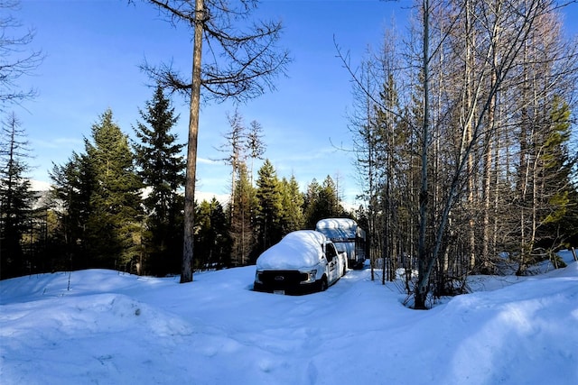 yard covered in snow featuring a view of trees