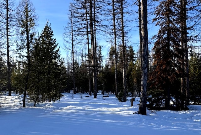 view of yard layered in snow