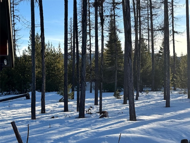 snowy yard with a forest view