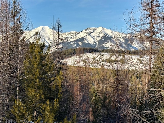 view of mountain feature with a wooded view