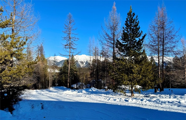 property view of mountains with a wooded view