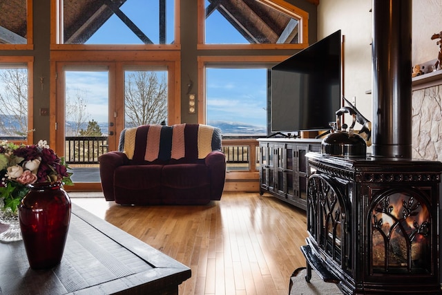living area featuring a wealth of natural light, light wood-type flooring, and a wood stove