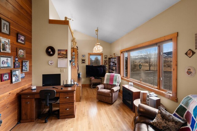 office with lofted ceiling and light wood finished floors
