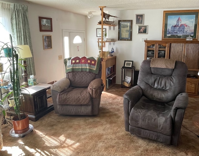 carpeted living room featuring a textured ceiling