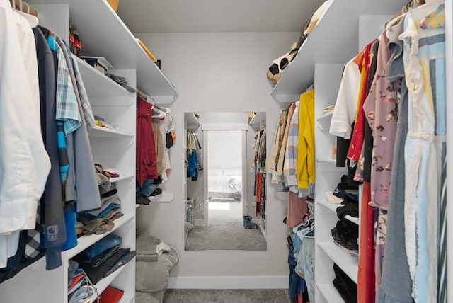 walk in closet featuring carpet floors