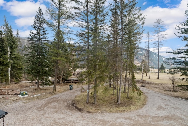 view of street featuring a mountain view