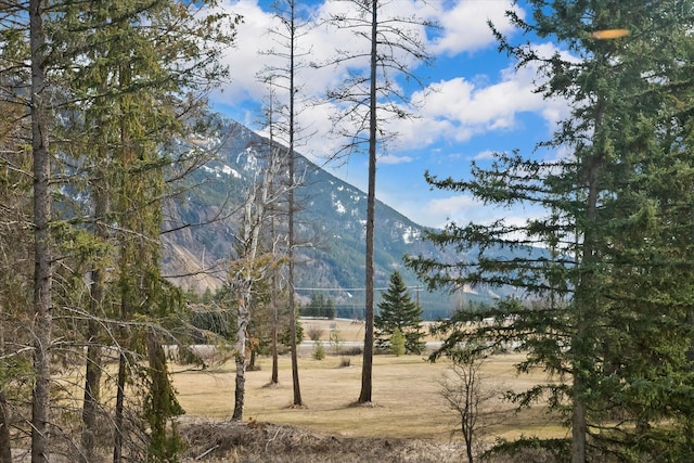 view of mountain feature