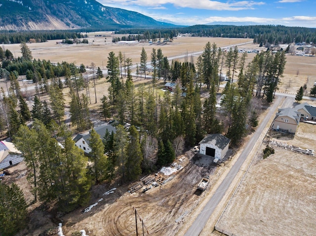 bird's eye view with a mountain view