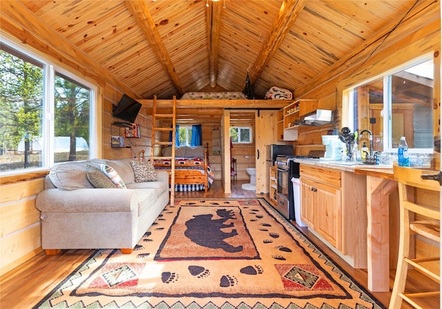 17 Mountain View Rd, Trout Creek, MT 59874 - living room featuring wooden walls, light wood-style floors, and wooden ceiling