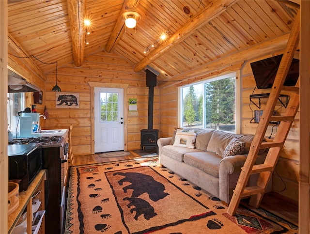 17 Mountain View Rd, Trout Creek, MT 59874 - living area featuring a wood stove, wood walls, wood ceiling, and wood finished floors