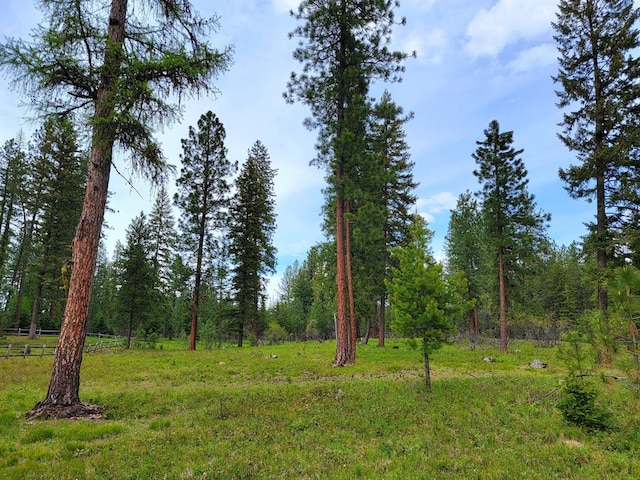 17 Mountain View Rd, Trout Creek, MT 59874 - view of tree filled area