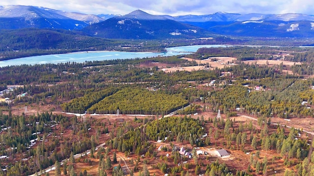 17 Mountain View Rd, Trout Creek, MT 59874 - view of mountain backdrop with a forest and a large body of water