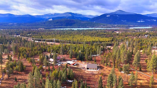 17 Mountain View Rd, Trout Creek, MT 59874 - bird's eye view of a forest and mountains