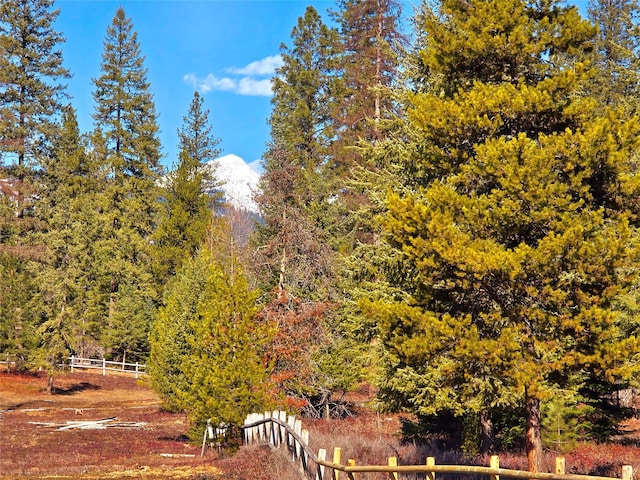 17 Mountain View Rd, Trout Creek, MT 59874 - view of community with a forest view