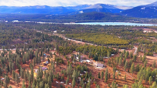 17 Mountain View Rd, Trout Creek, MT 59874 - aerial view of property and surrounding area featuring a water and mountain view