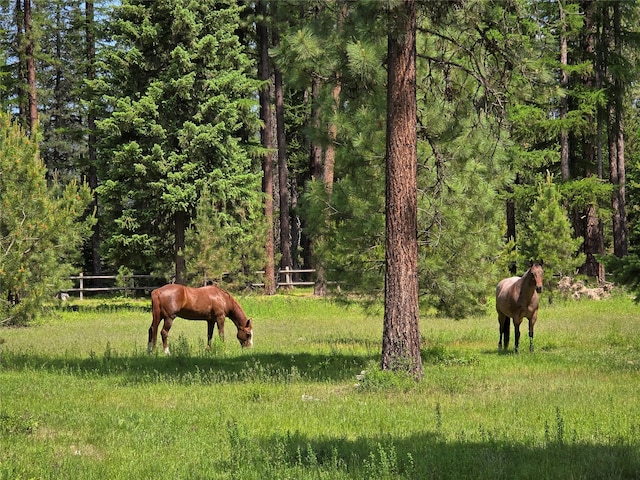 17 Mountain View Rd, Trout Creek, MT 59874 - view of home's community with a forest view