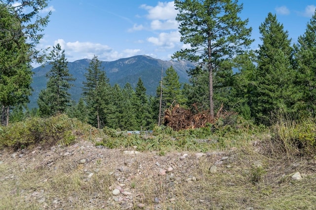 325 Kathy Lake Ln, Kalispell MT, 59901 land for sale