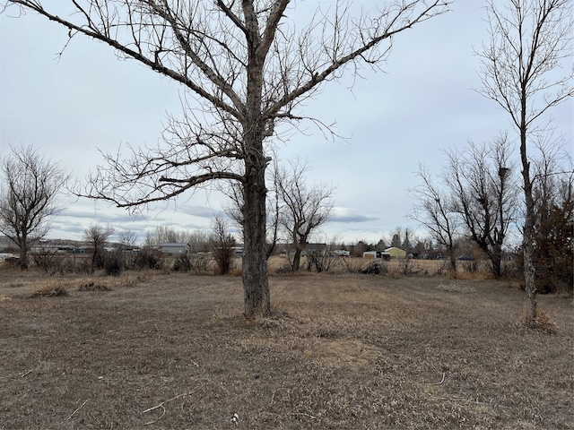 view of yard with a rural view