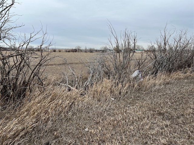 view of local wilderness featuring a rural view