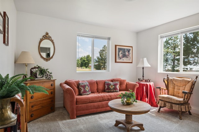 living room featuring carpet flooring