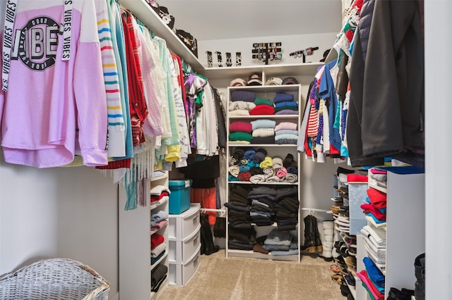 spacious closet with carpet