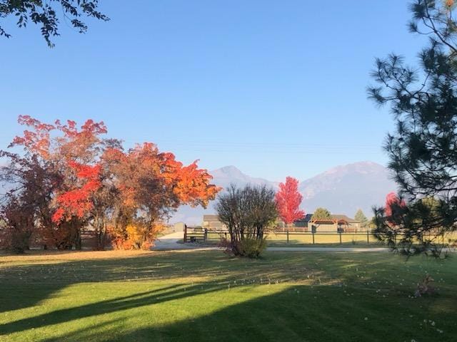 view of community featuring a lawn and a mountain view