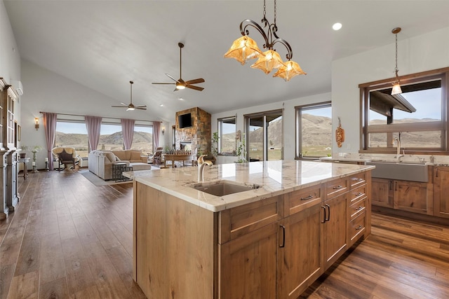 kitchen with a sink, dark wood-type flooring, pendant lighting, and a kitchen island with sink