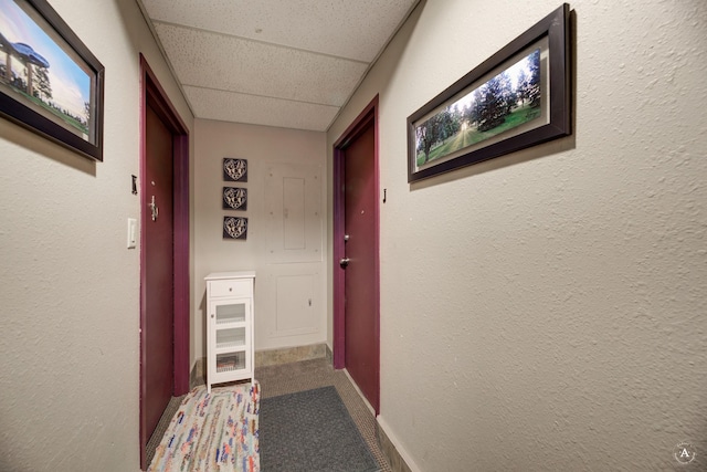 hall with carpet flooring, a paneled ceiling, baseboards, and a textured wall