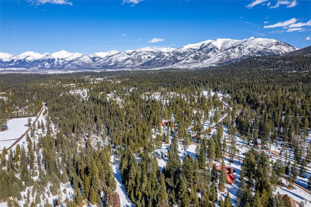 1095 S Canyon Dr, Seeley Lake, MT 59868 - property view of mountains with a view of trees