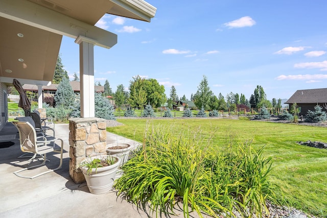 view of yard featuring a patio area