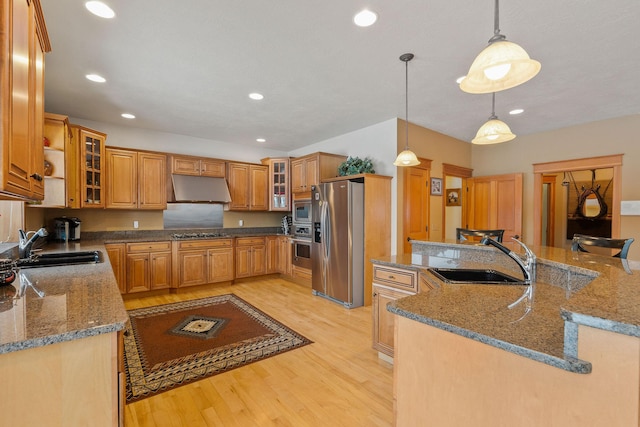 kitchen with a sink, light wood-style floors, under cabinet range hood, and stainless steel appliances