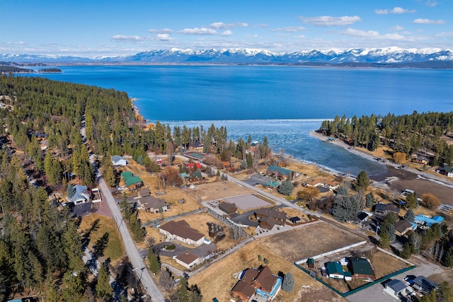 birds eye view of property with a water and mountain view