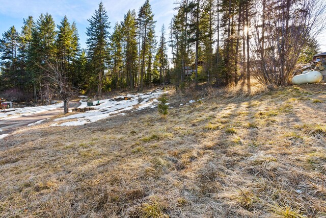 393 Skookum Rd, Lakeside, MT 59922