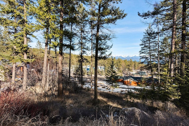 Listing photo 3 for 393 Skookum Rd, Lakeside MT 59922