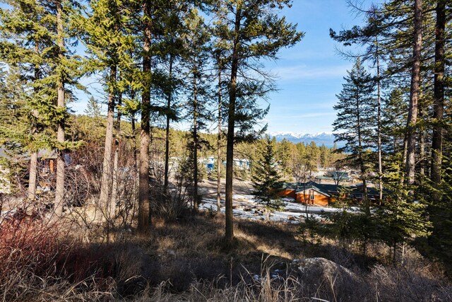 393 Skookum Rd, Lakeside, MT 59922