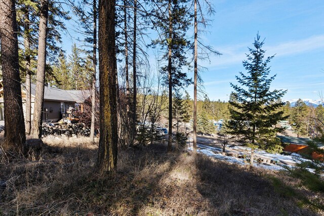 393 Skookum Rd, Lakeside, MT 59922