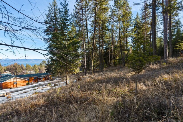 393 Skookum Rd, Lakeside, MT 59922