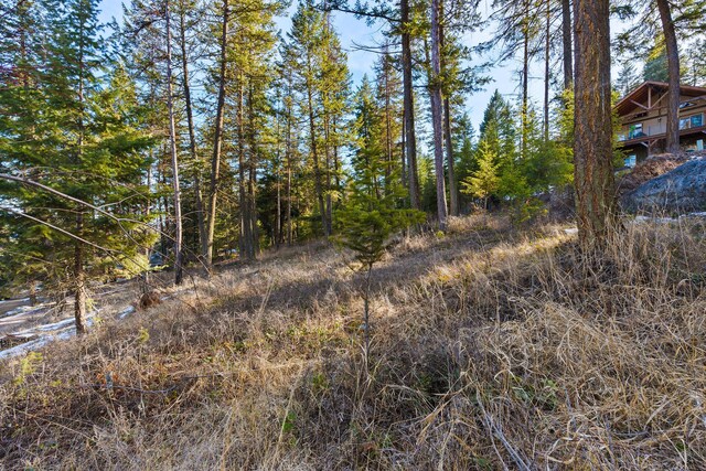 393 Skookum Rd, Lakeside, MT 59922