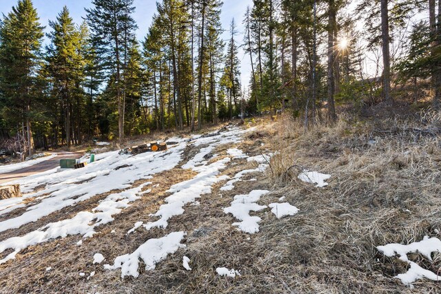 393 Skookum Rd, Lakeside, MT 59922