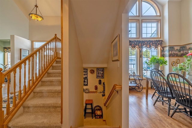 staircase featuring a high ceiling and wood finished floors