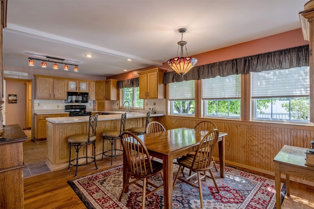 845 S California St, Helena, MT 59601 - dining room featuring wooden walls, dark wood-style floors, and recessed lighting