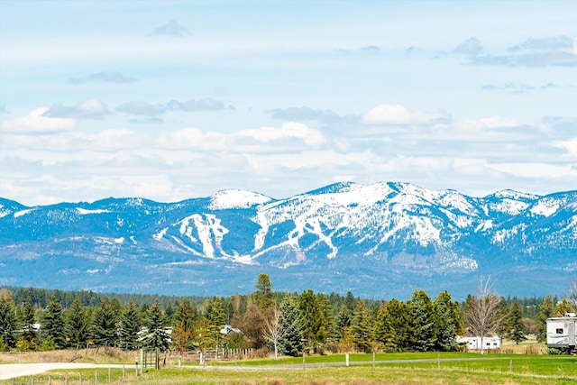 view of mountain feature with a wooded view