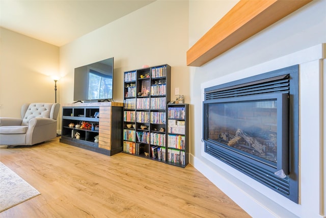 living area featuring a glass covered fireplace and wood finished floors