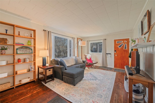 living area with dark wood-style floors