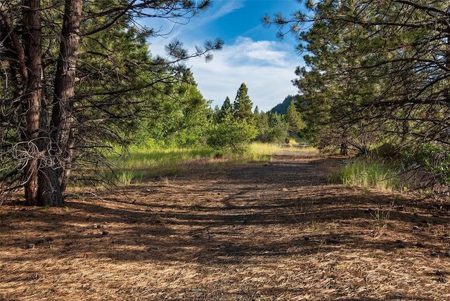 67 Bitterroot Ln, Clancy, MT 59634