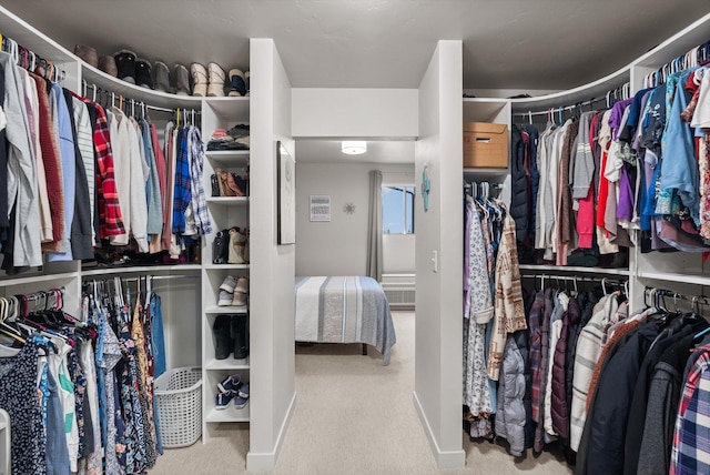 spacious closet with carpet floors