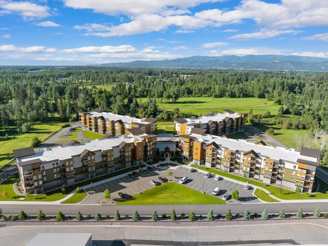 aerial view with a mountain view and a forest view