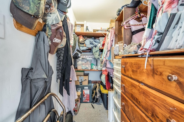 spacious closet featuring carpet flooring