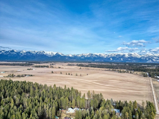 bird's eye view featuring a mountain view