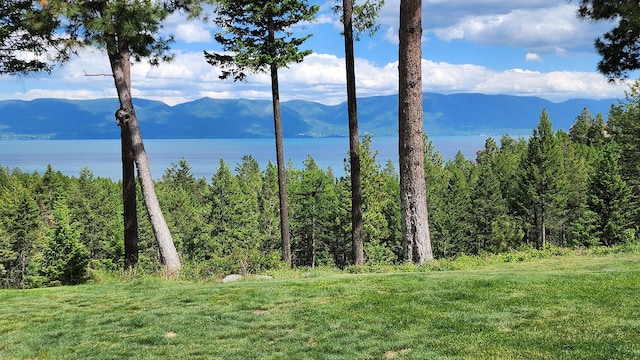 water view featuring a mountain view